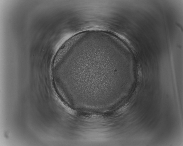 X0000099471375200805231820