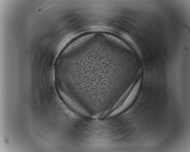 X0000099471376200805231820