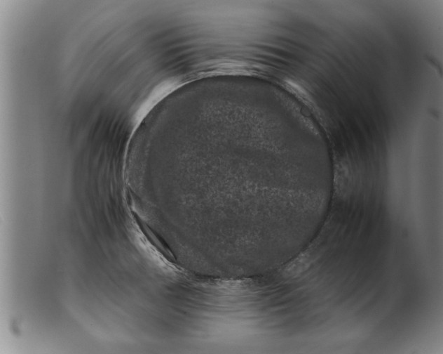 X0000099471378200805231820