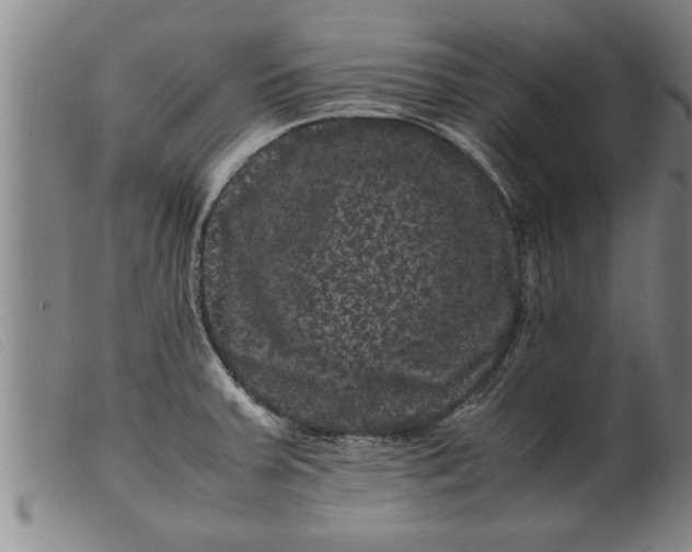 X0000099471379200805231820