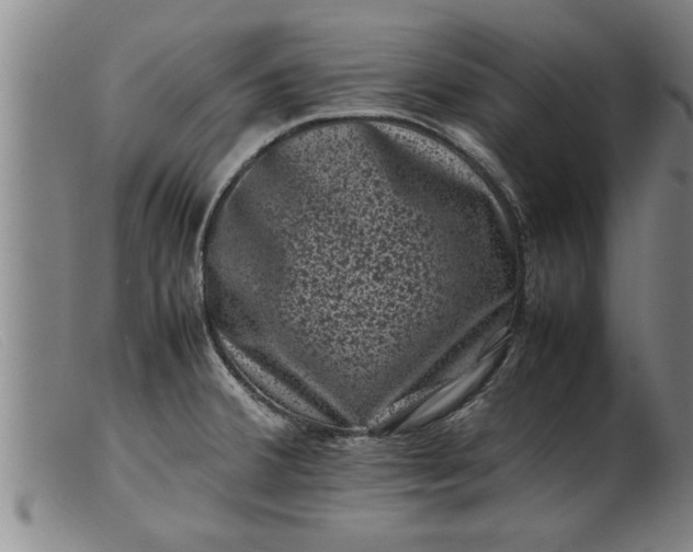 X0000099471380200805231820