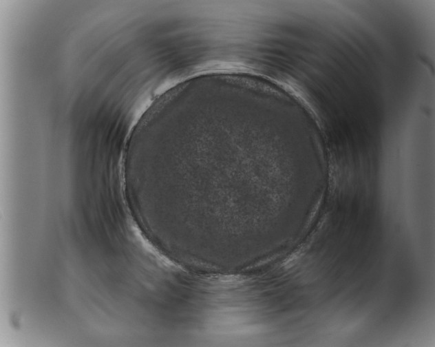 X0000099471382200805231820