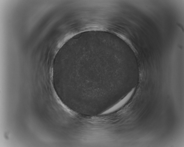 X0000099471383200805231820