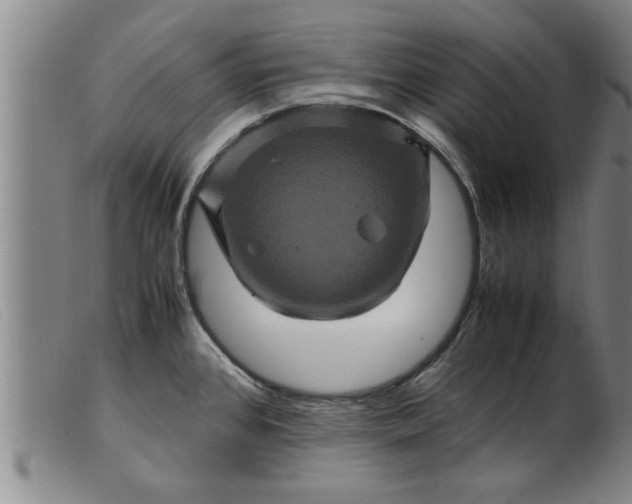 X0000099471384200805231820