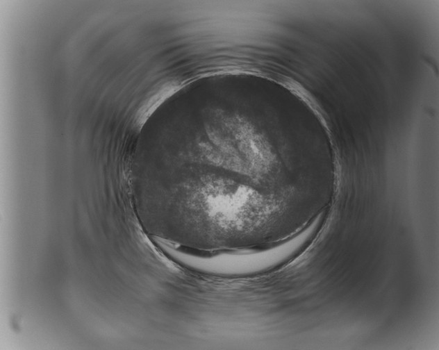 X0000099471385200805231820