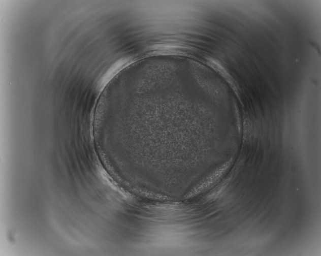 X0000099471386200805231820