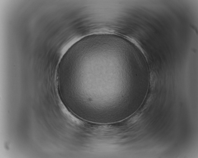 X0000099471387200805231820