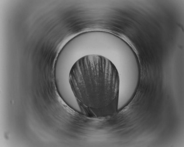X0000099471388200805231820