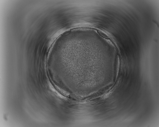 X0000099471390200805231820
