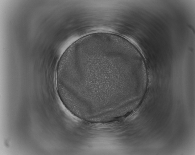 X0000099471391200805231820