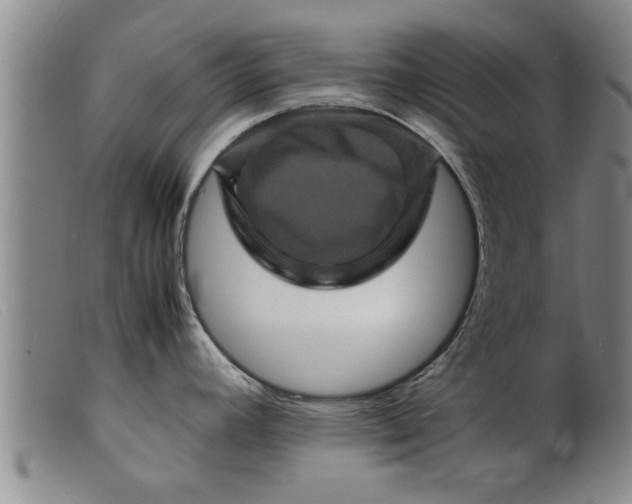X0000099471392200805231819