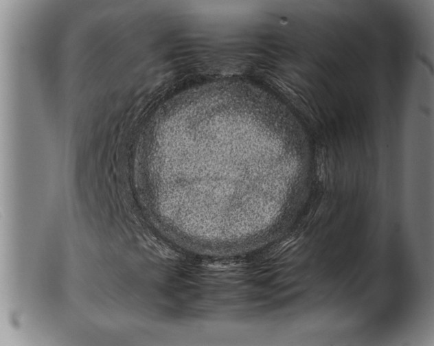 X0000099471393200805231819