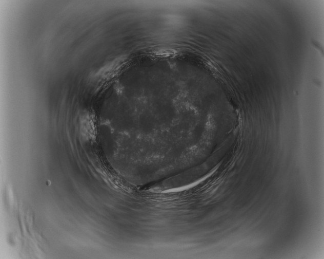 X0000099471394200805231819