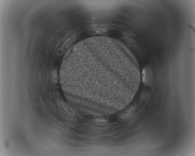 X0000099471395200805231819