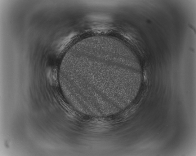 X0000099471396200805231819