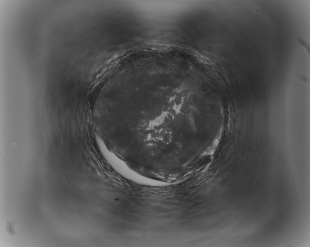X0000099471397200805231819