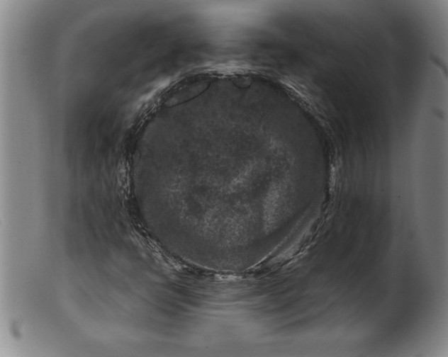X0000099471398200805231819