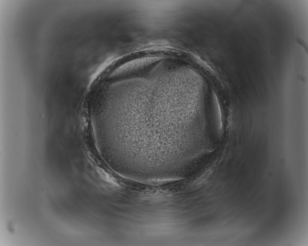 X0000099471400200805231819