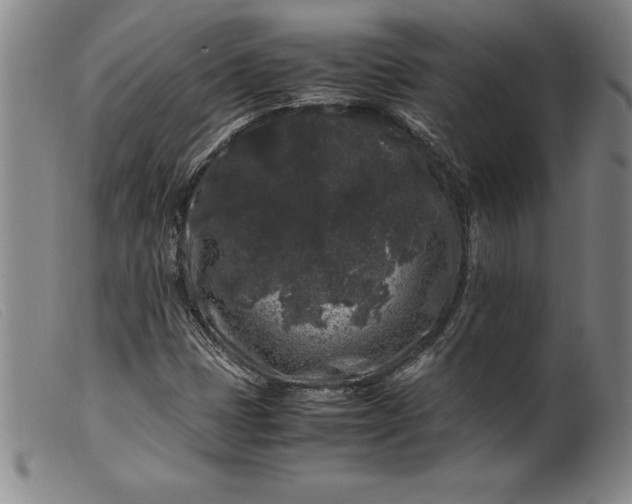 X0000099471401200805231819