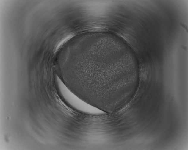 X0000099471402200805231819