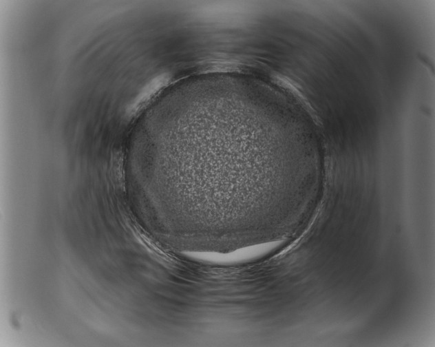 X0000099471403200805231819