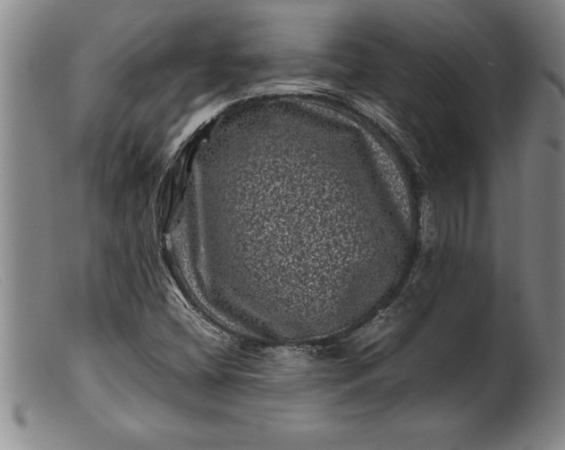 X0000099471404200805231819