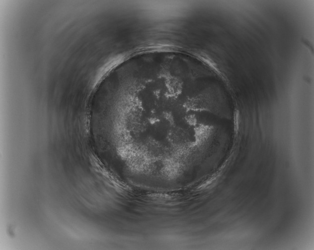 X0000099471405200805231819