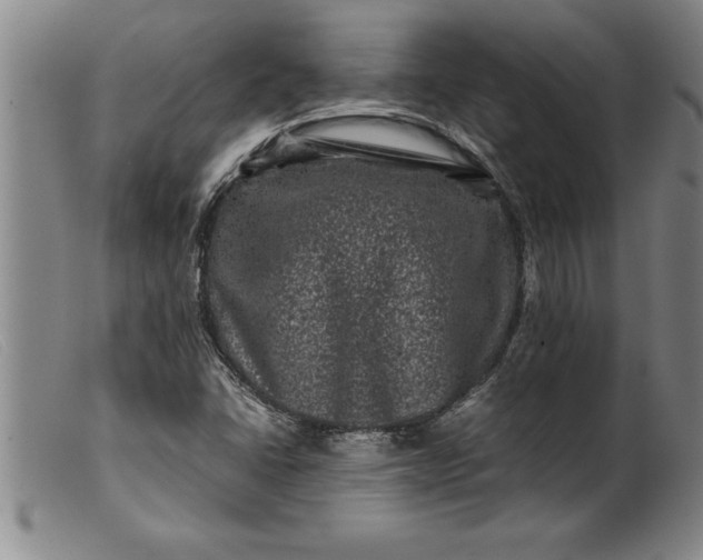 X0000099471406200805231819