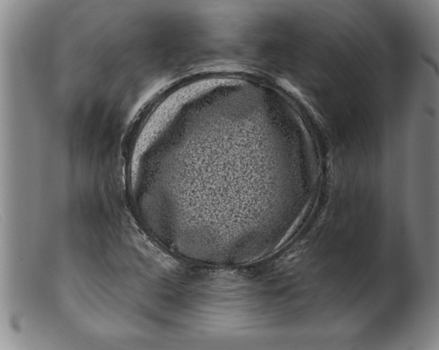 X0000099471408200805231819