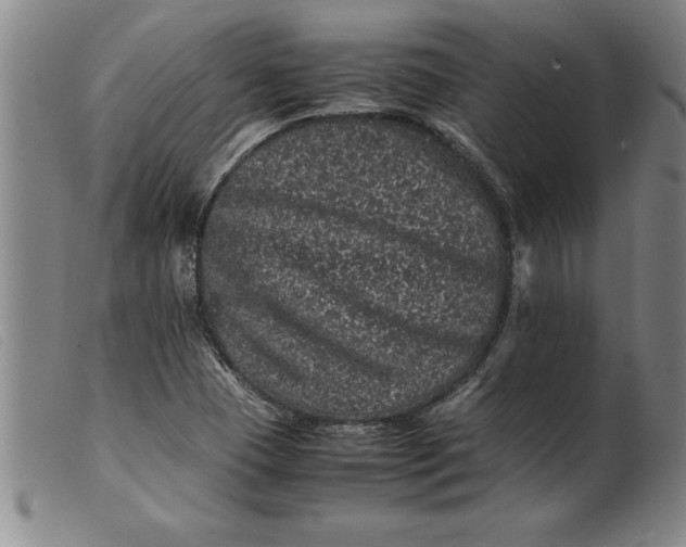 X0000099471409200805231819