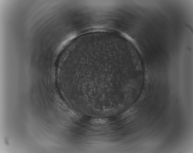 X0000099471411200805231819