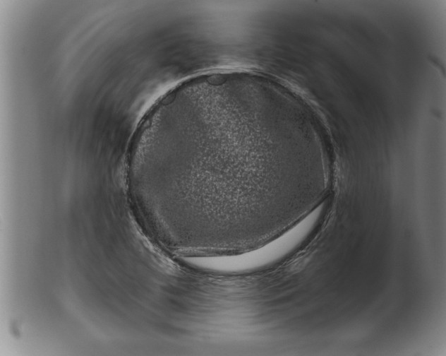 X0000099471412200805231819