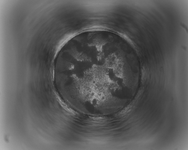 X0000099471413200805231819