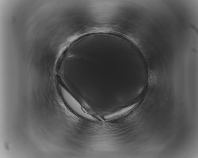 X0000099471414200805231819