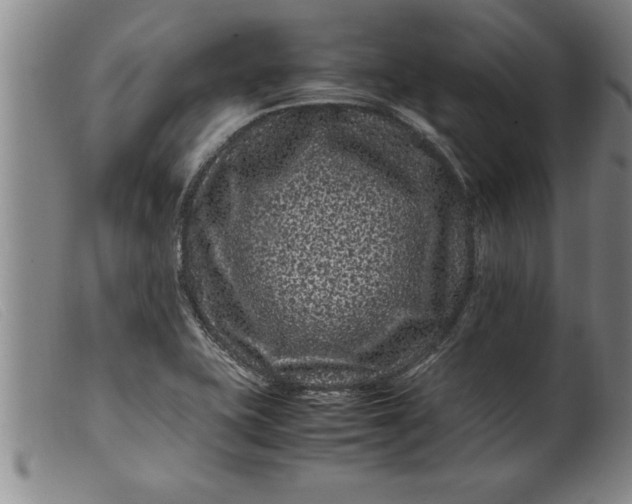 X0000099471415200805231819