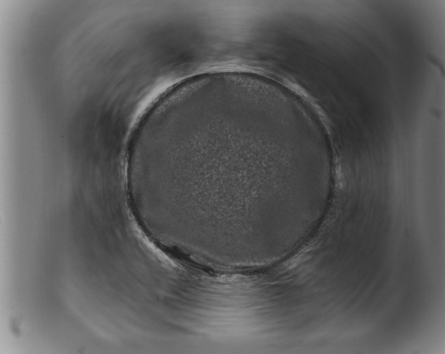 X0000099471416200805231819