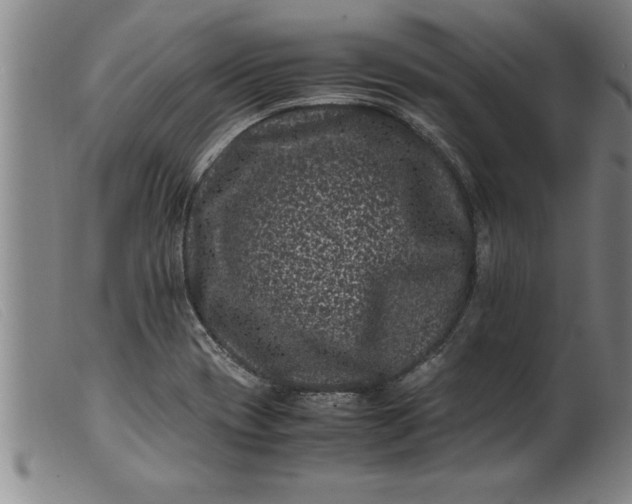 X0000099471417200805231819