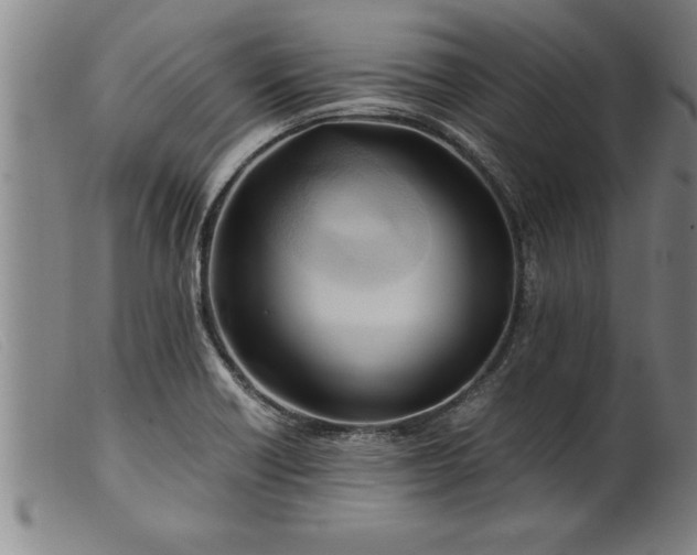 X0000099471418200805231819