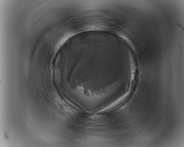 X0000099471419200805231819