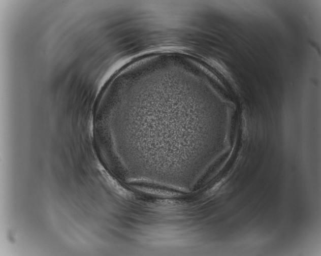 X0000099471420200805231819