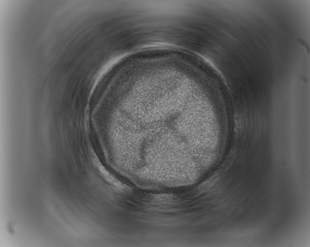 X0000099471421200805231819
