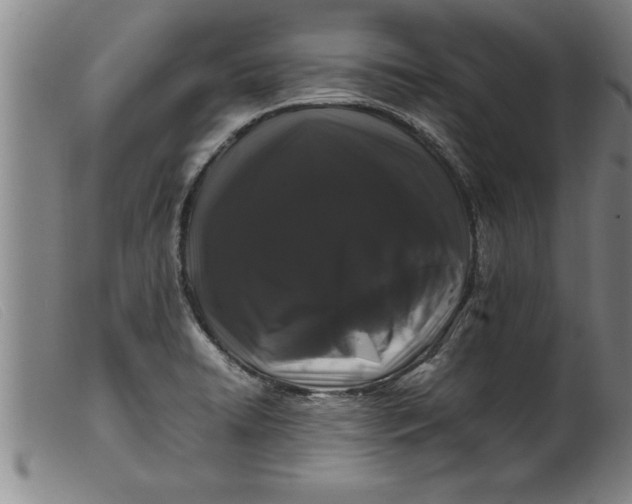 X0000099471422200805231819