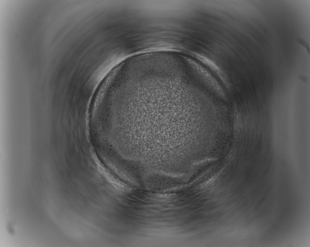 X0000099471423200805231819
