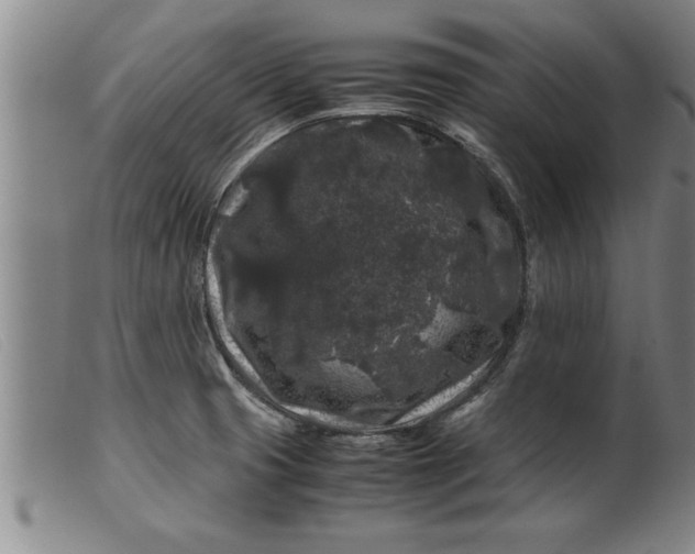 X0000099471425200805231819