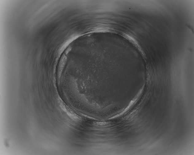 X0000099471427200805231819