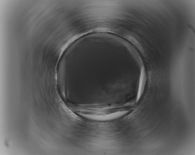 X0000099471428200805231819