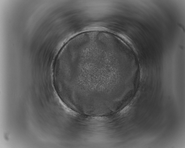 X0000099471430200805231819