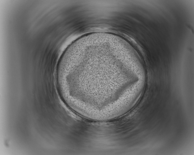 X0000099471432200805231819