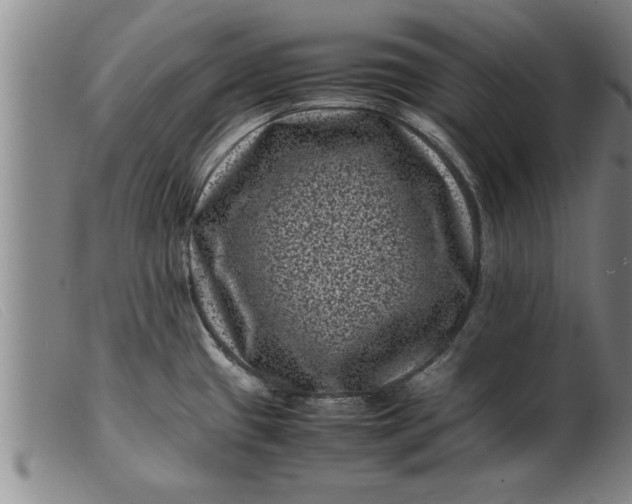 X0000099471433200805231819