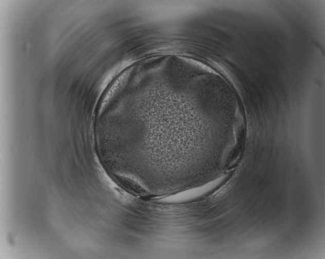 X0000099471434200805231819